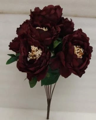 Peony Open Bunch x9